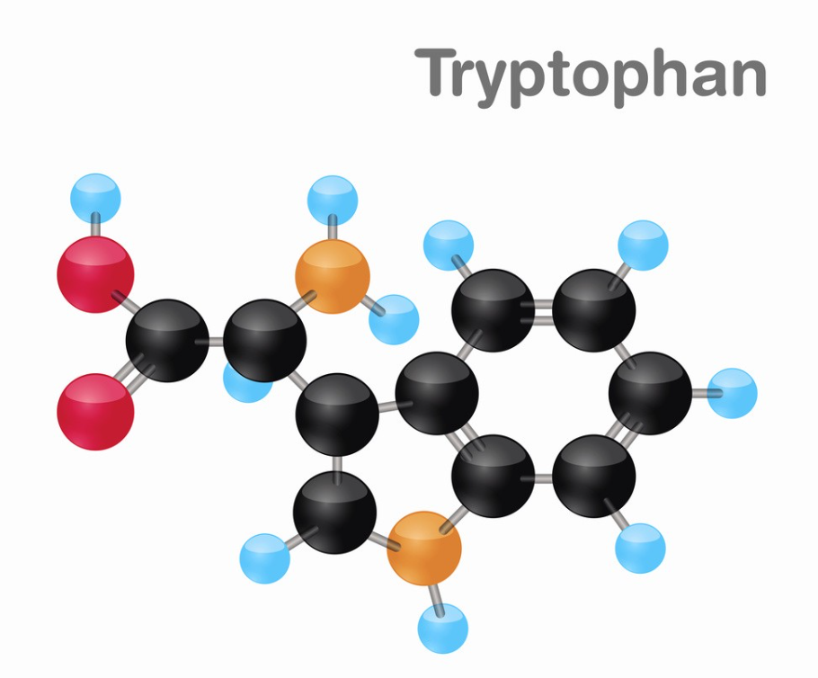 Триптофан
