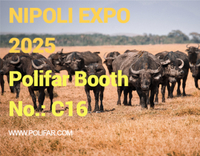 //5ororwxhomqnrik.leadongcdn.com/cloud/lmBqnKmmSRilpkipjkkq/NIPOLI-EXPO.jpg
