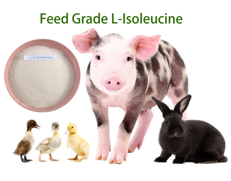 Feed grade isoleucine.jpg