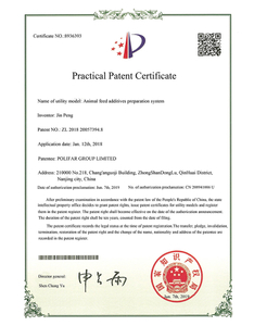  Практический патентный сертификат 