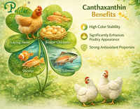 //5ororwxhomqnrik.leadongcdn.com/cloud/lnBqnKmmSRnlpmqjkpkm/canthaxanthin-benefits.png