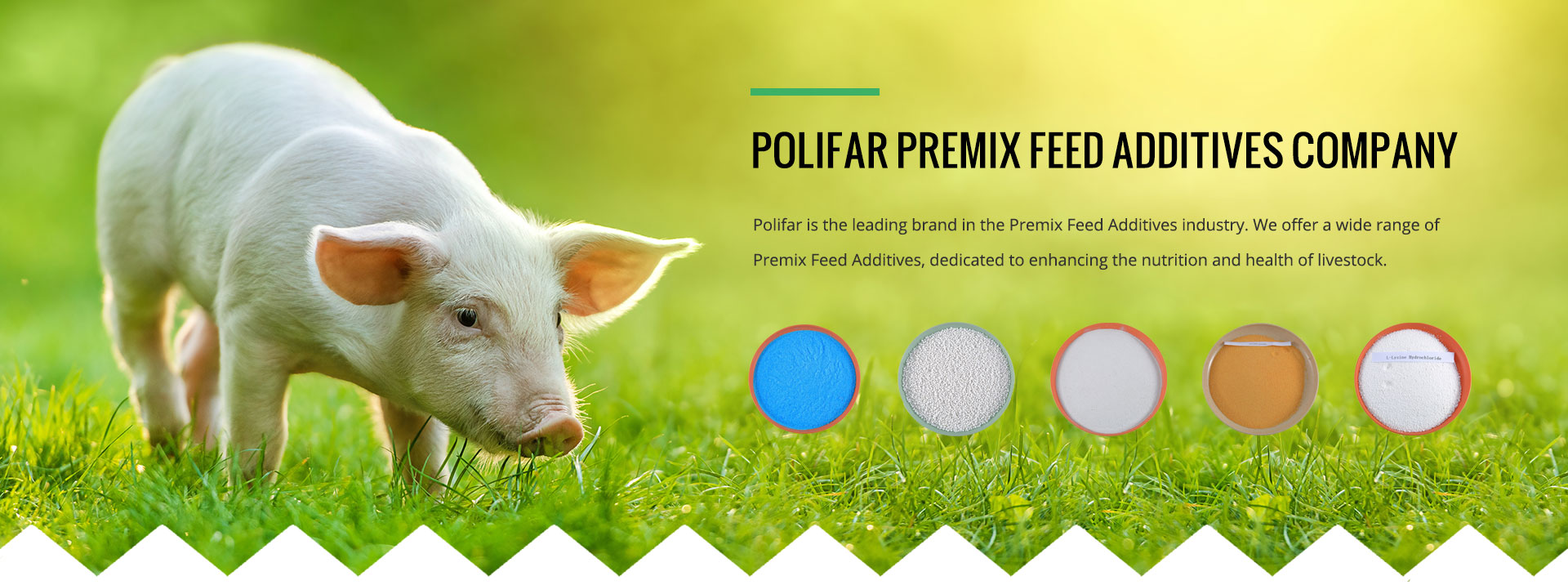 Premix Feed Additives