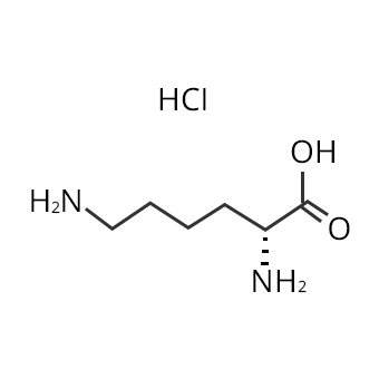 Структура L-лизина гидрохлорида