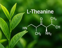 //5ororwxhomqnrik.leadongcdn.com/cloud/lrBqnKmmSRjlnmroilkp/L-Theanine.jpg
