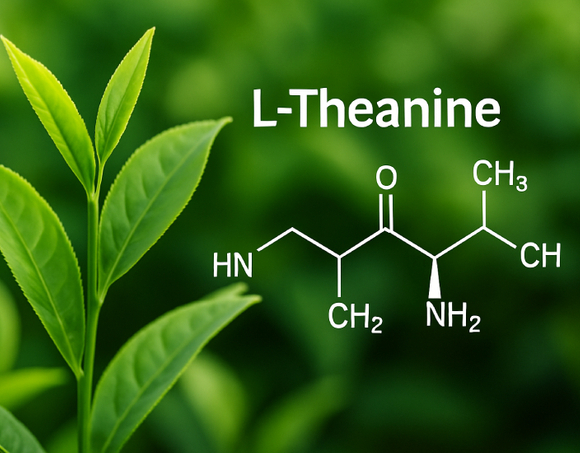 L-Theanine.jpg