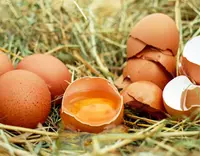 //5ororwxhomqnrik.leadongcdn.com/cloud/piBqnKmmSRqloqrijikp/Feed-Additive-Choline-Chloride.webp