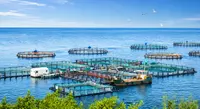 Водная иммунная защита 