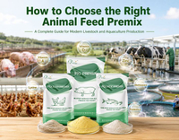 //5ororwxhomqnrik.leadongcdn.com/cloud/pmBqnKmmSRqlinmlmqkm/How-to-Choose-the-Right-Animal-Feed-Premix.jpg